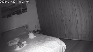 Woman is cheating on her husband,Pofegistka!